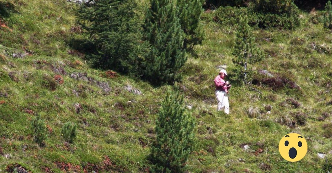 Angela Merkel bei sommerlicher Wanderung in Südtirol