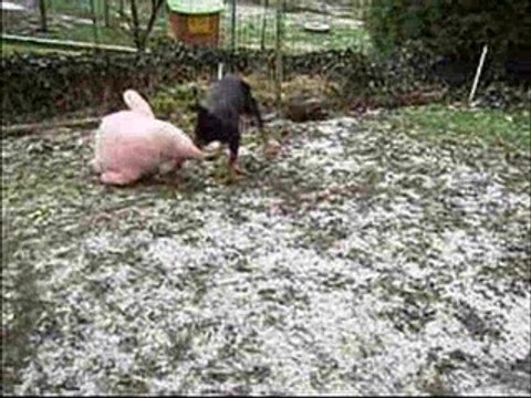 Patrick et mes ptits monstres