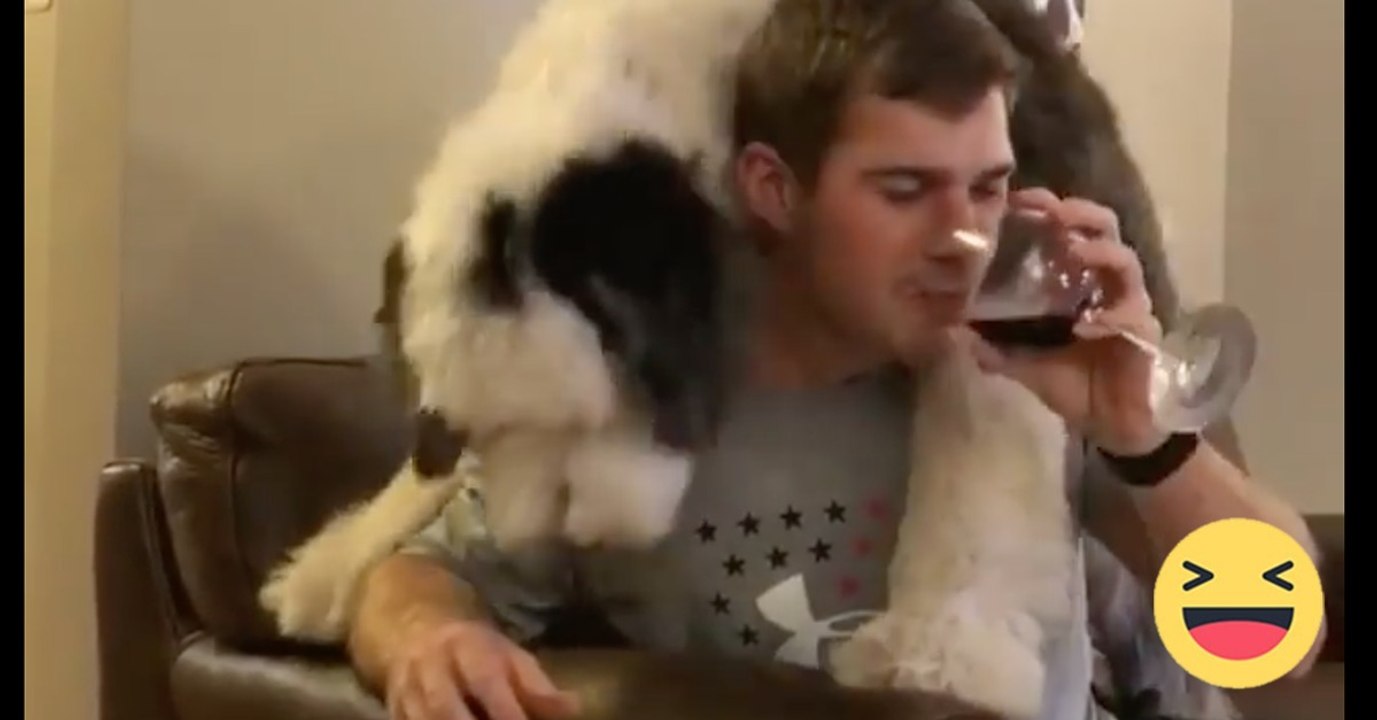 Er möchte ein Glas Wein trinken. Doch dann kommt plötzlich sein Hund...