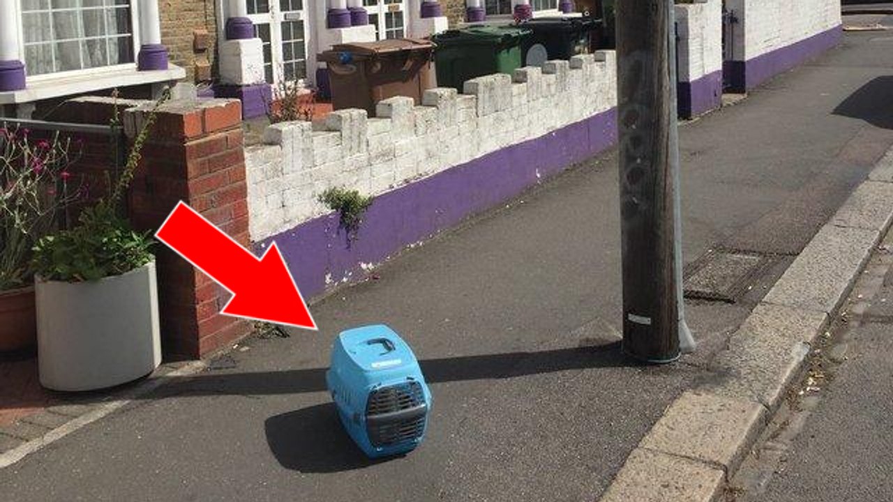 Ein Mann findet die Transportbox auf der Straße. Dann entdeckt er das Unfassbare!