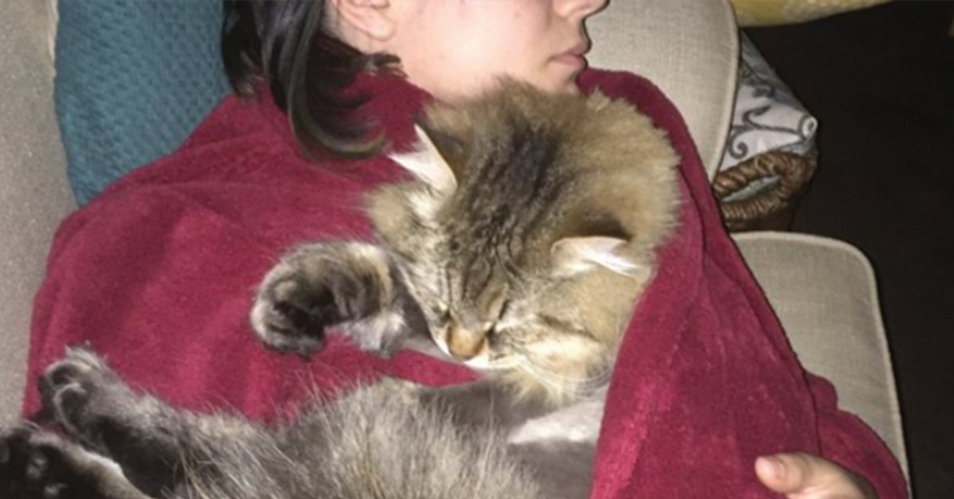 Max ist ein scheuer Karter und mag das Alleinsein. Doch von einem Tag auf den anderen ändert er sein Wesen komplett