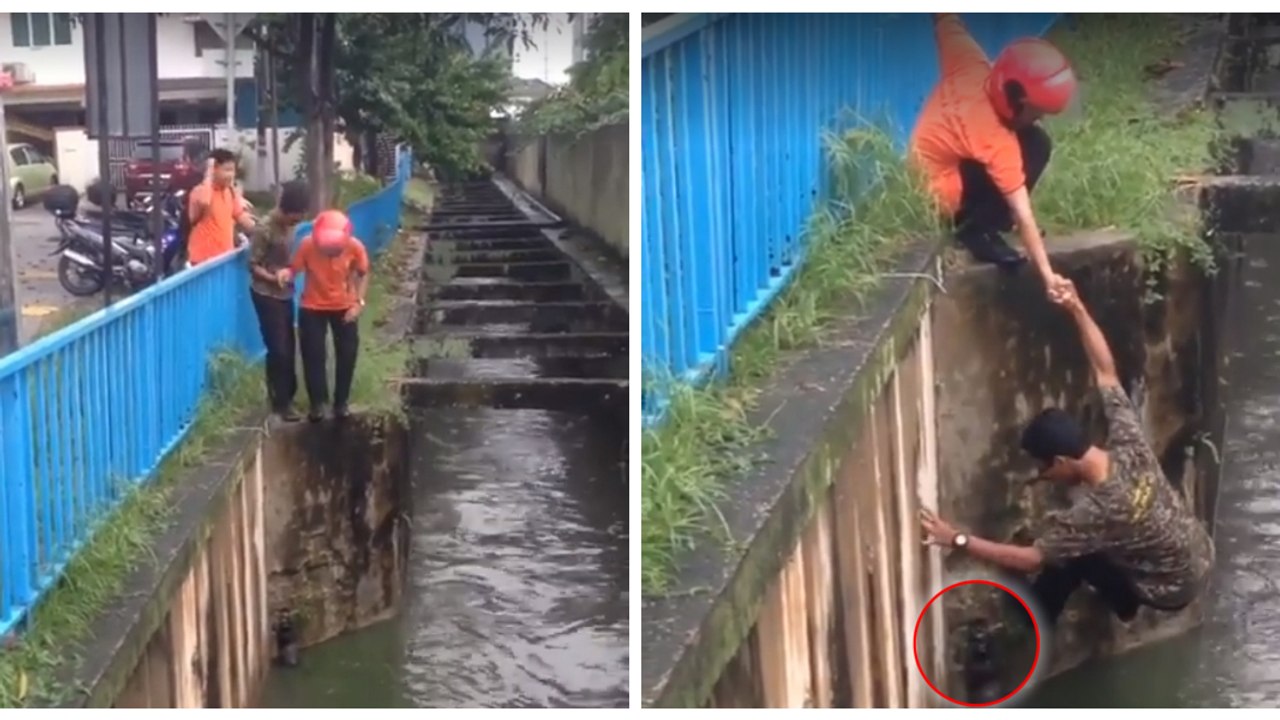 Zwei Männer retten ein Kätzchen vor dem Ertrinken
