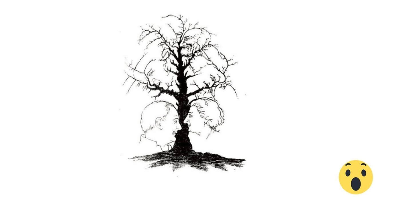 Nur emotional intelligente Menschen finden alle Gesichter auf diesem Bild!