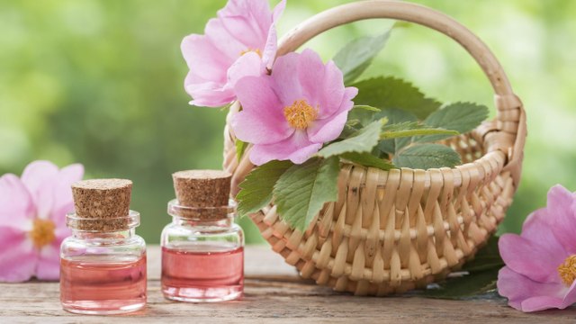 Hagebuttenöl: Anwendung und Wirkung von Wildrosenöl auf Gesicht und Haut