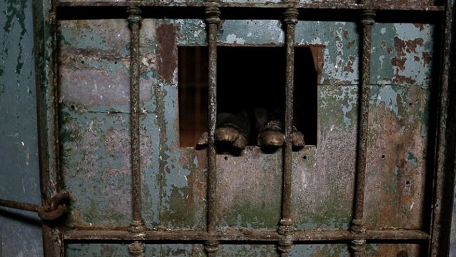 Reporter dringen in geschlossenen Zoo ein und trauen ihren Augen kaum