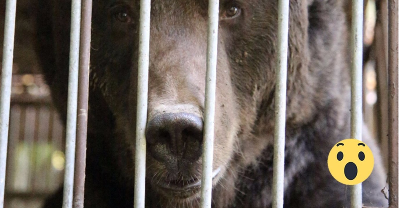16 Jahren hinter Gittern. Jetzt wurde eine Entscheidung getroffen, die viele berührt!