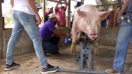 INTA inaugura módulo para extracción de material genético en Estelí