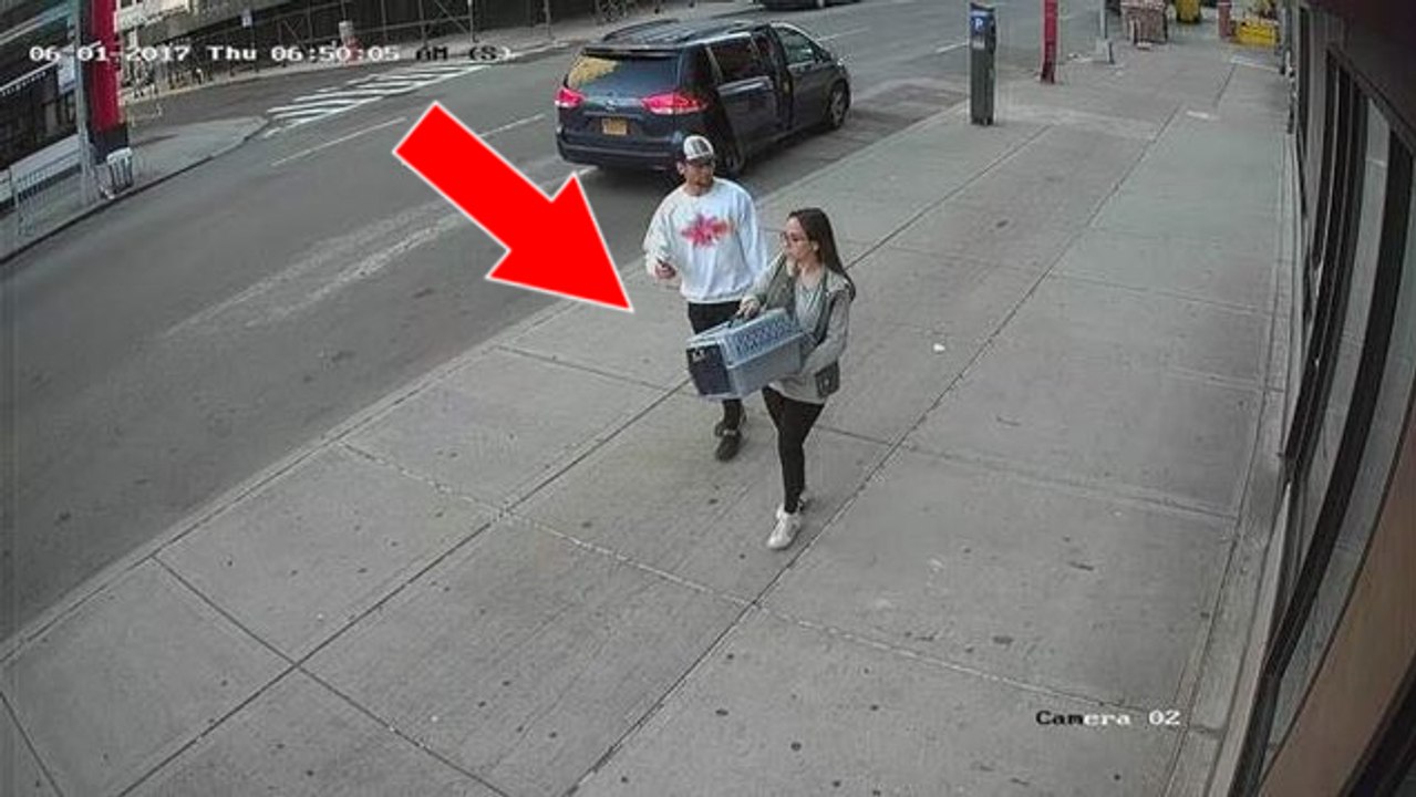 Eine Überwachungskamera filmt ein Paar, wie es eiskalt seine Tiere aussetzt