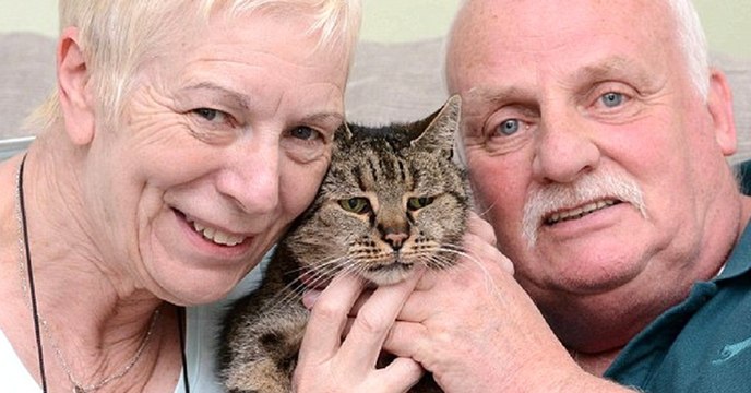 Die älteste Katze der Welt ist gestorben. Ihre Besitzer nehmen Abschied