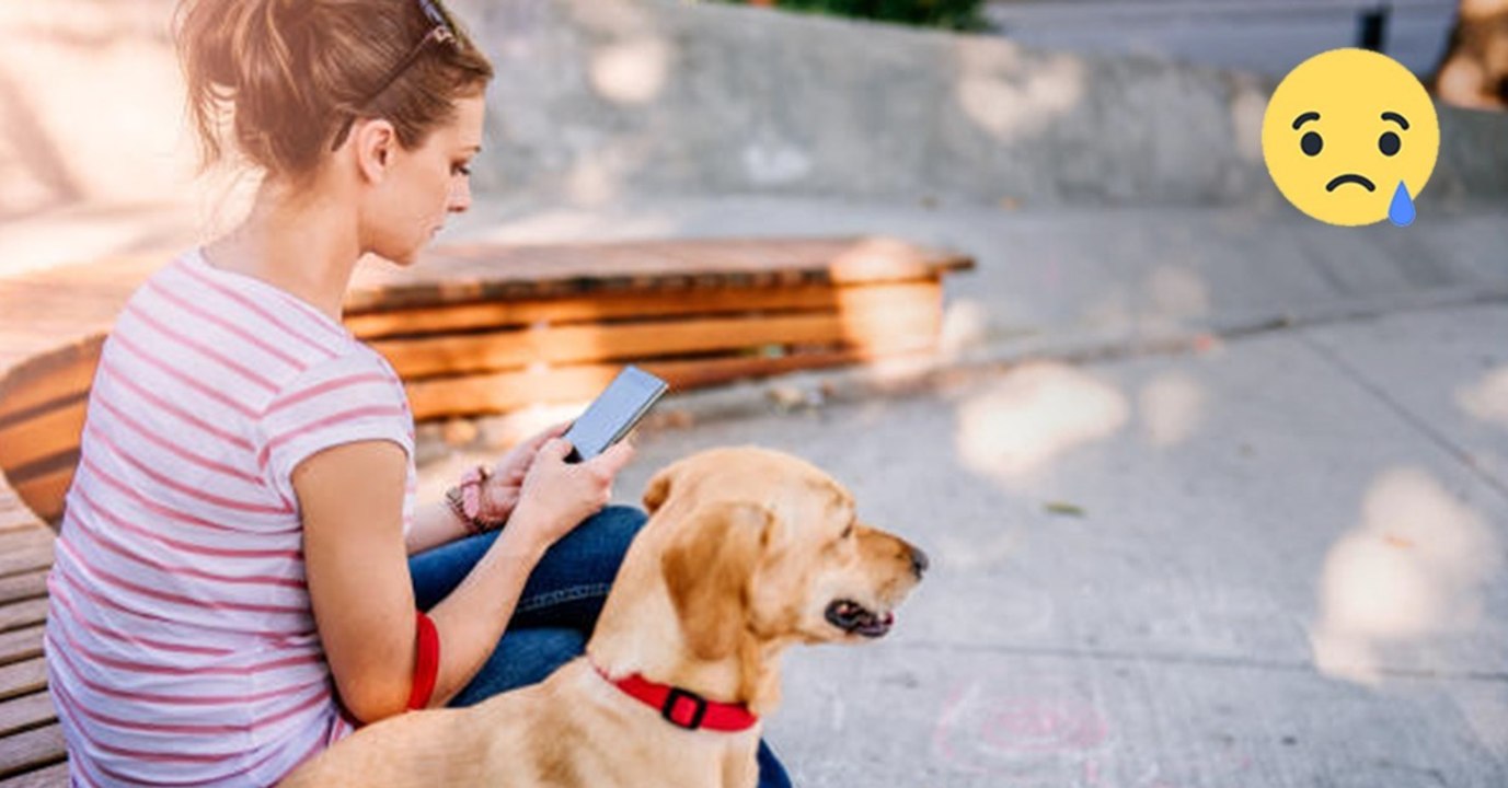 Ich hab es jeden Tag unbewusst so gemacht und nicht gewusst, wie gefährlich das für meinen Hund ist