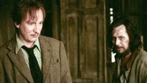 Harry Potter: Theorie zu Remus Lupin und Sirius Black