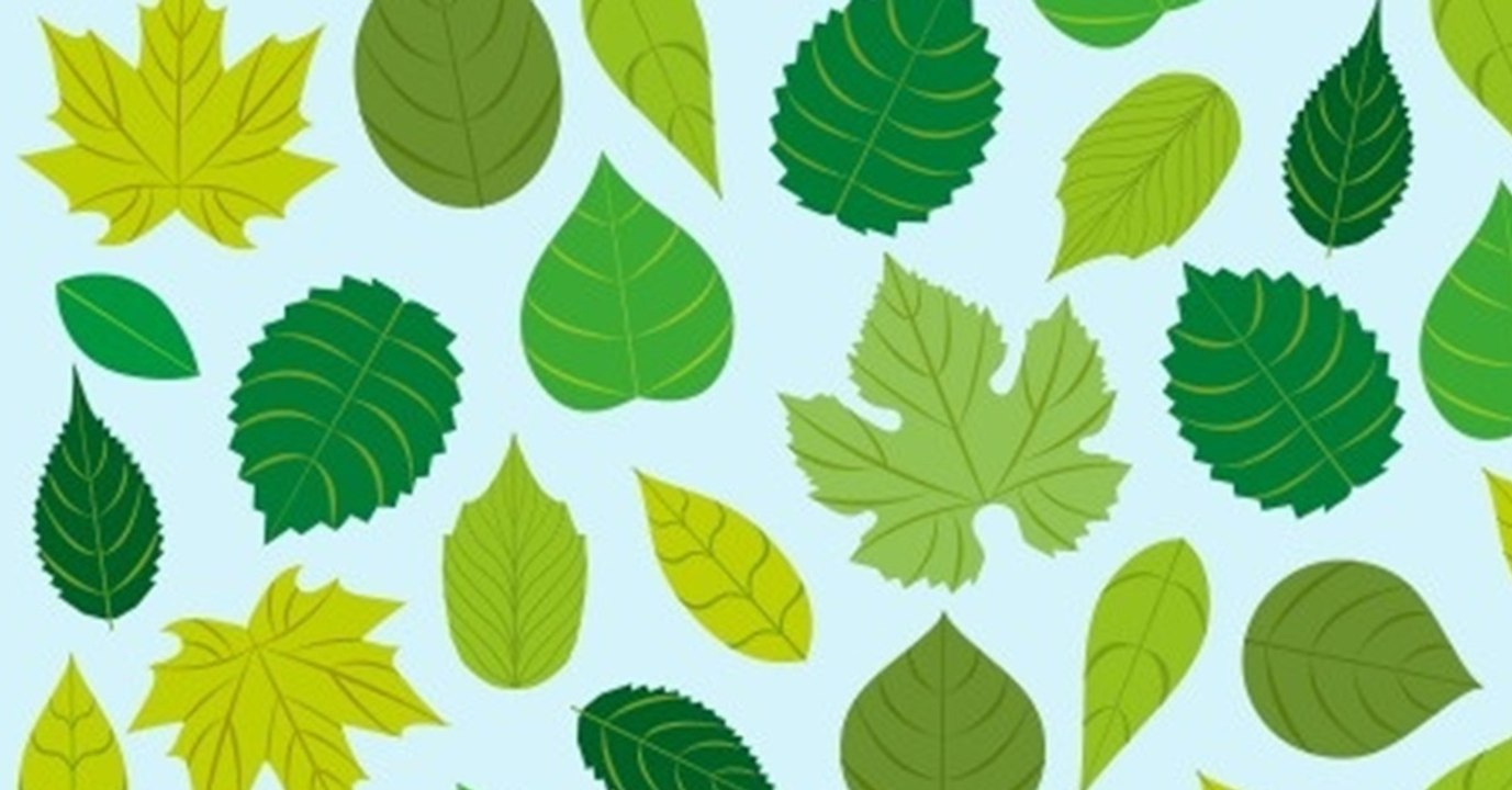 Erfahre, was es über dich aussagt, wenn du das Tier in diesem Bild sehen kannst