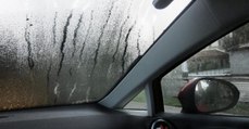 Mit dieser Methode verhinderst du, dass die Windschutzscheibe deines Autos beschlägt