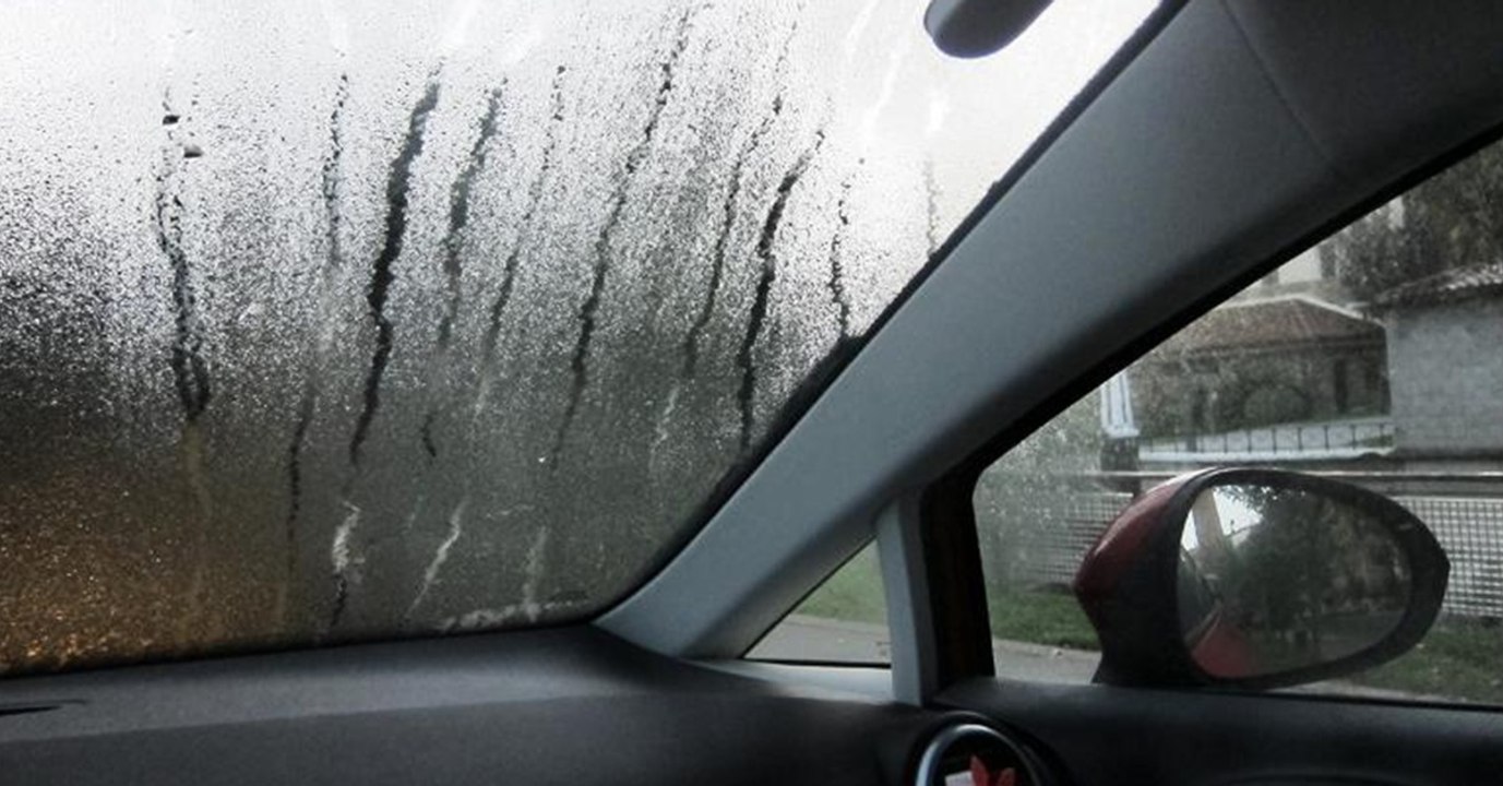 Mit dieser Methode verhinderst du, dass die Windschutzscheibe deines Autos beschlägt