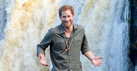 Prinz Harry ist in Brandenburg zur Jagd und 15 Wildschweine müssen dran glauben