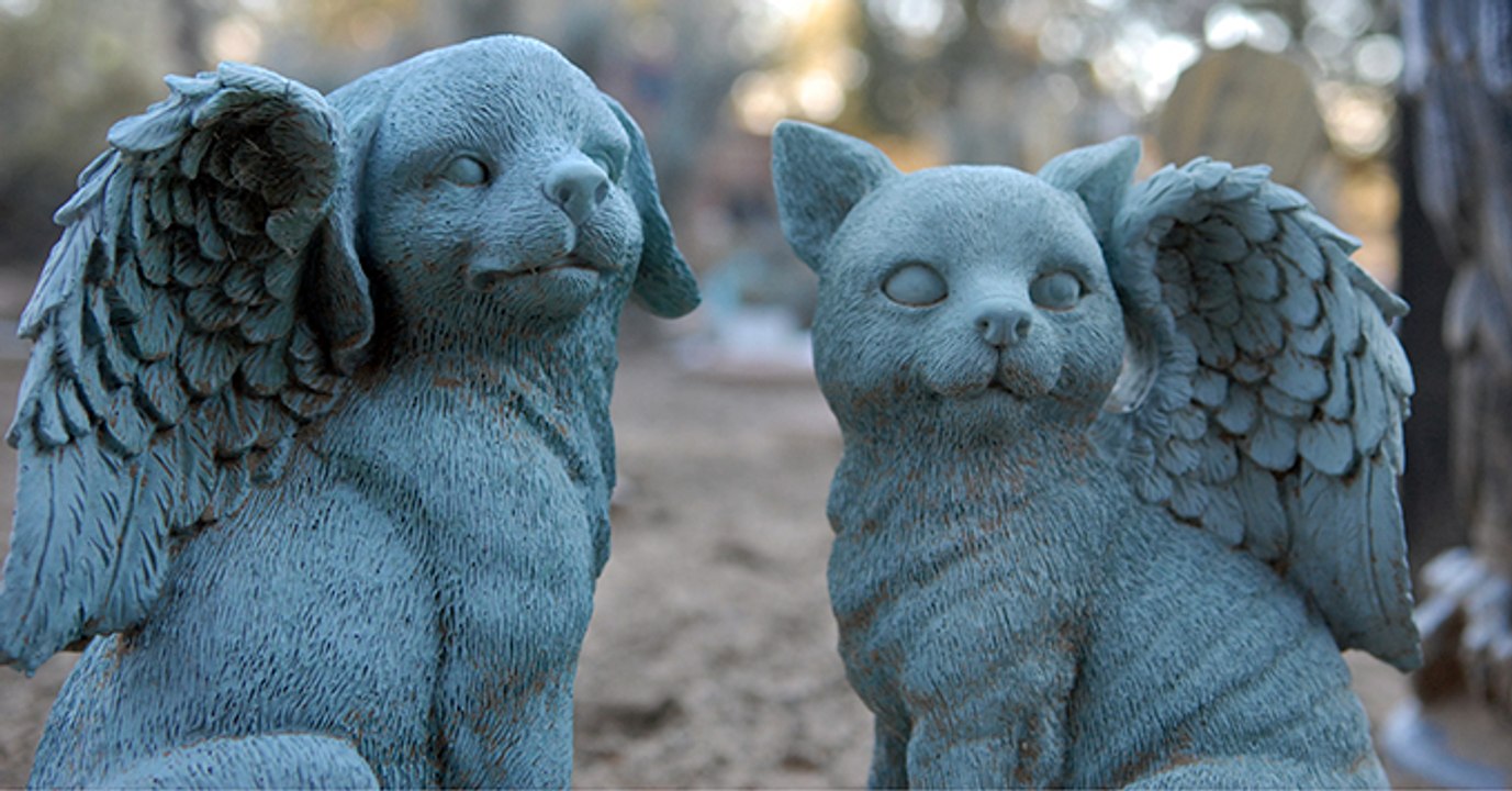 Tierfriedhof: An diesem Ort konnte ich mich würdevoll von meinem Liebling verabschieden