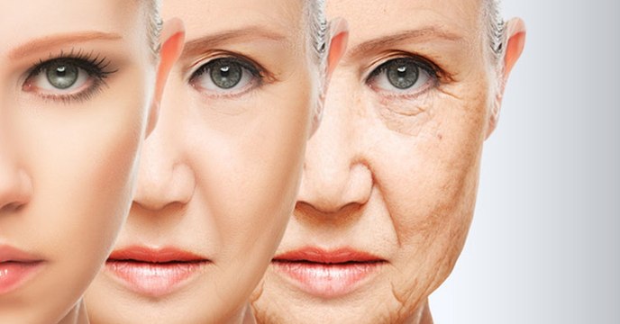 Telomer-Effekt: So altert euer Körper langsamer