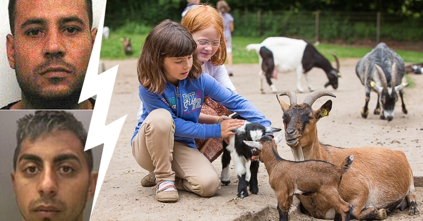 Berlin: Tierquälerei im Streichelzoo geht weiter