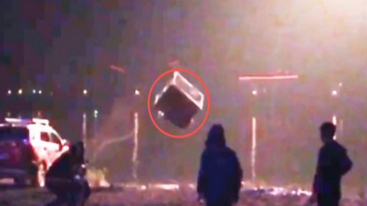 Tierschützer vollkommen erschüttert wegen dieser heimlich gefilmten Szene!