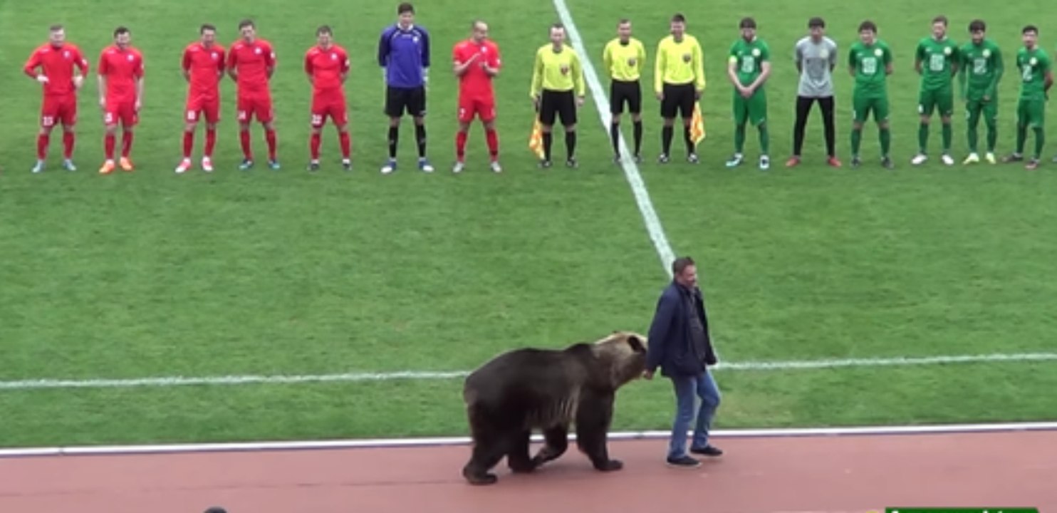 Bär eröffnet Fußballspiel in Russland und sorgt für scharfe Kritik