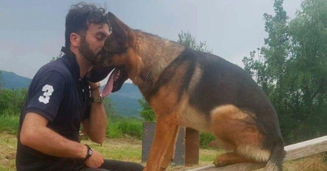 Schäferhund hat hunderte Menschenleben gerettet, doch jetzt schlägt das Schicksal zu