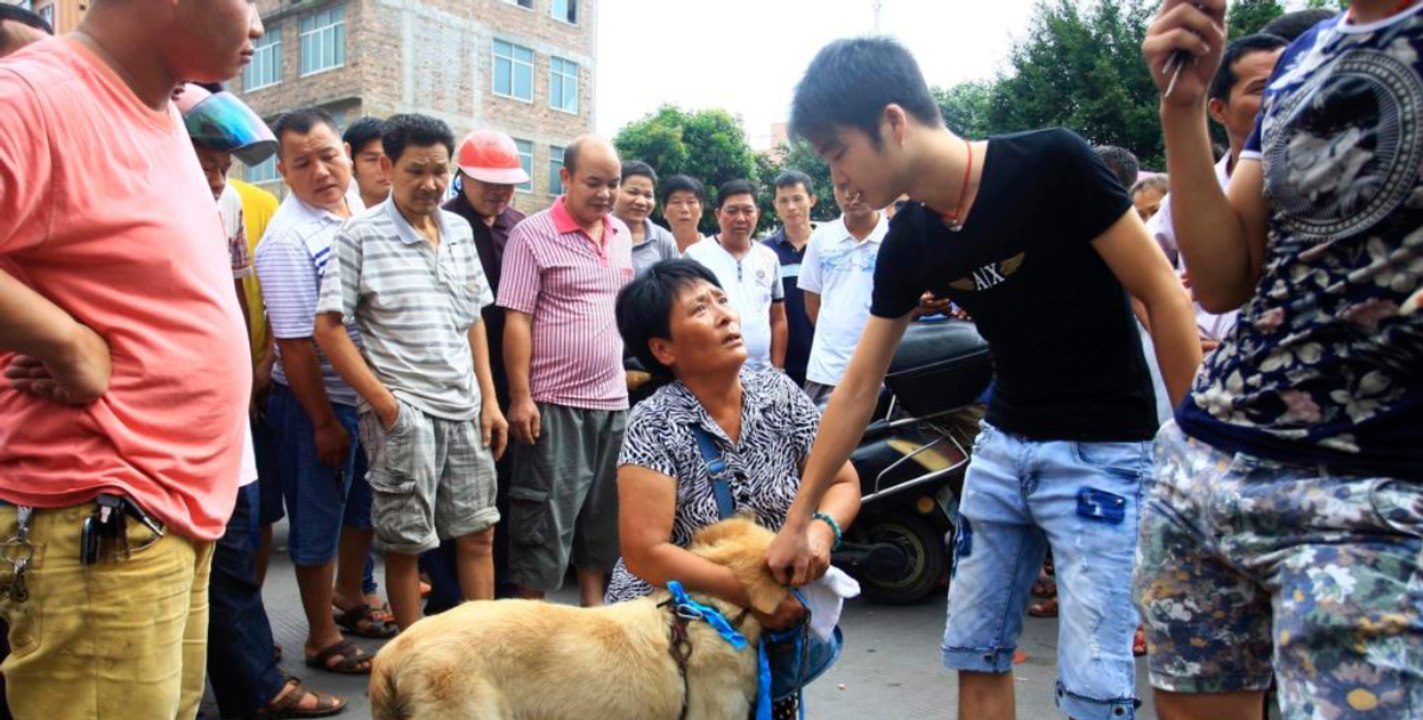 Chinesen feiern ein Festival mit Hunden, bei dem uns ganz schön übel werden muss