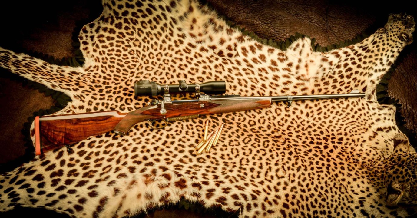 Jaguar Yo'oko wurde für Puma gehalten und erschossen