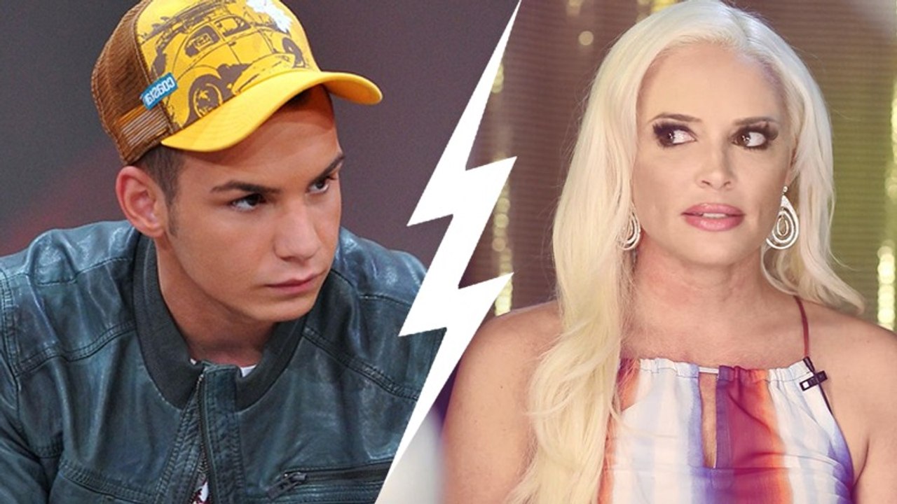 So fies wettert Pietro Lombardi auf Instagram gegen die Katze