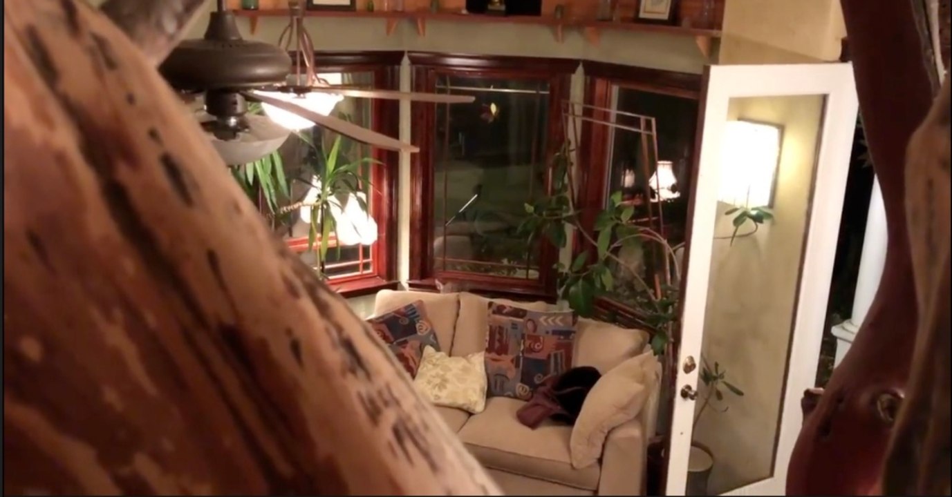 Als sie nach Hause kommt, traut sie ihren Augen nicht, was hinter ihrem Sofa schlummert