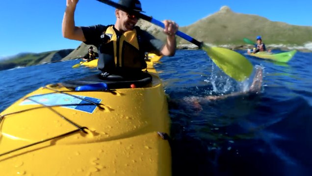 Kajakfahrer kann nicht fassen, was ihm aus dem Wasser ins Gesicht fliegt!