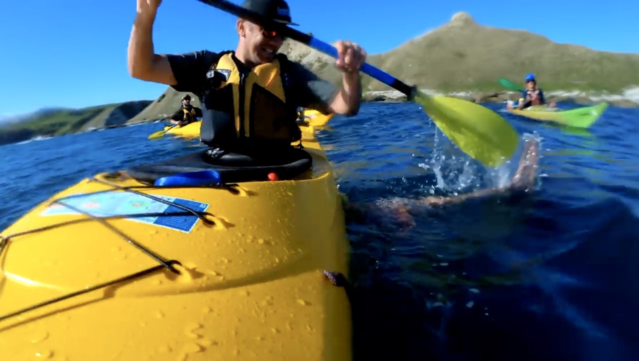 Kajakfahrer kann nicht fassen, was ihm aus dem Wasser ins Gesicht fliegt!