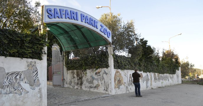 Tierschützer dringen in albanischen „Höllenzoo“ ein