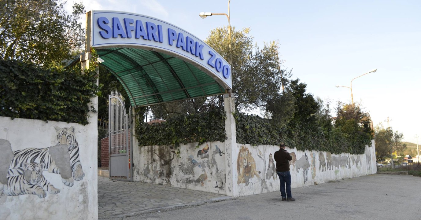 Tierschützer dringen in albanischen „Höllenzoo“ ein