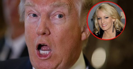 Pornodarstellerin verrät: So sieht das beste Stück von Donald Trump aus!