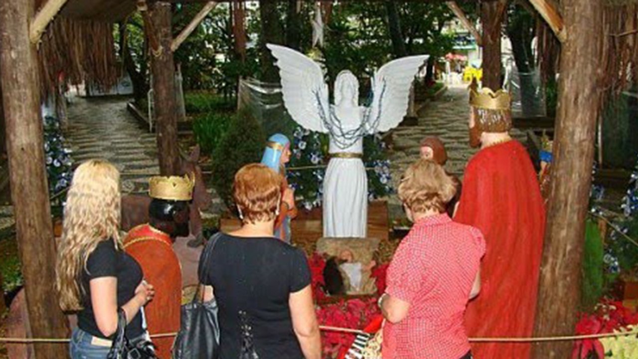 Rührendes Bild: Ein schutzbedürftiges Wesen findet Unterschlupf in einer Krippe in der Kirche