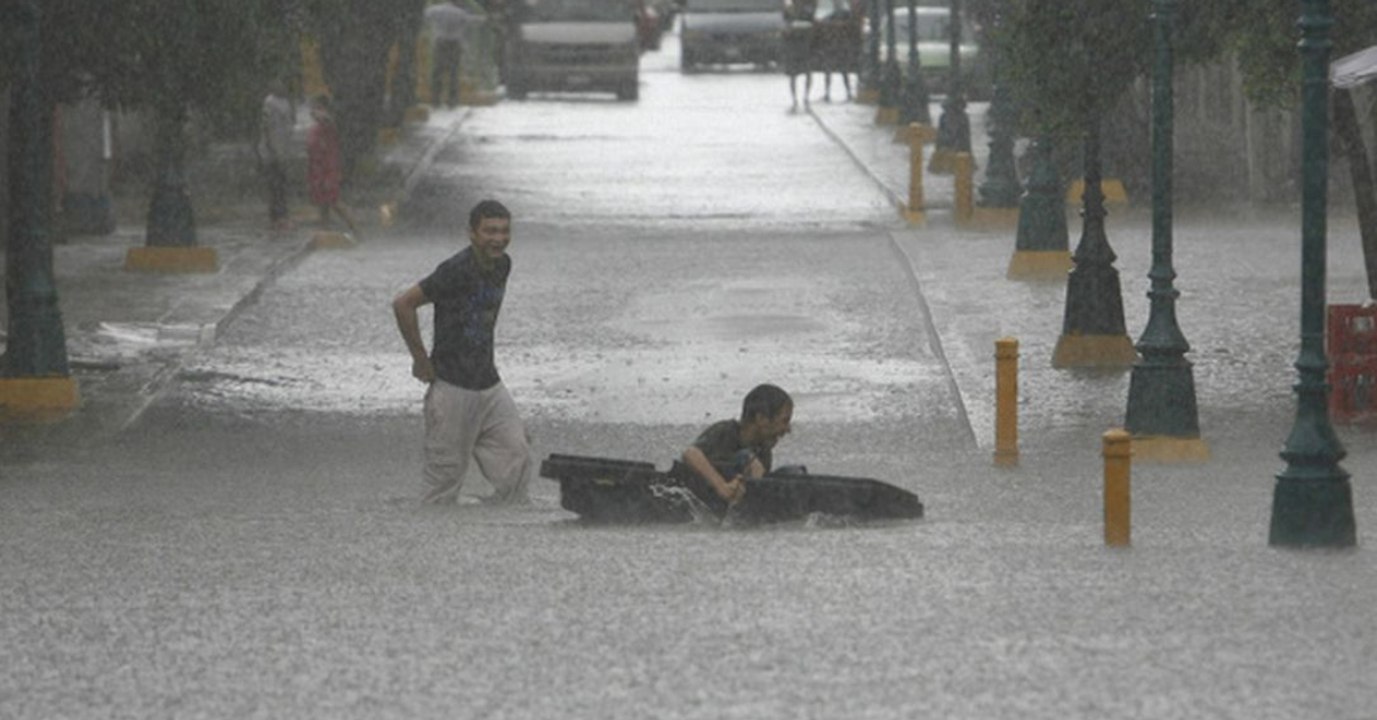 Ihre Besitzer lassen sie in den Fluten ertrinken - dann schreitet ein kleiner Junge ein