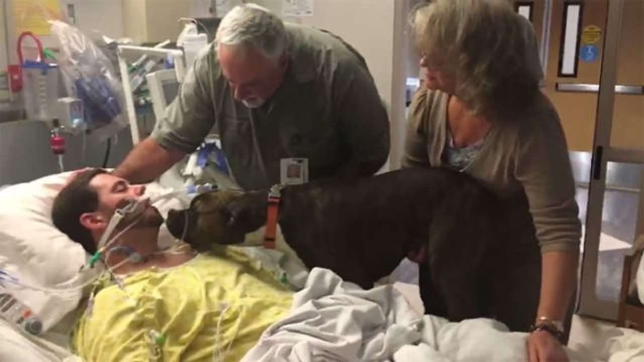 Mann verstirbt überraschend, sein Hund rührt alle zu Tränen