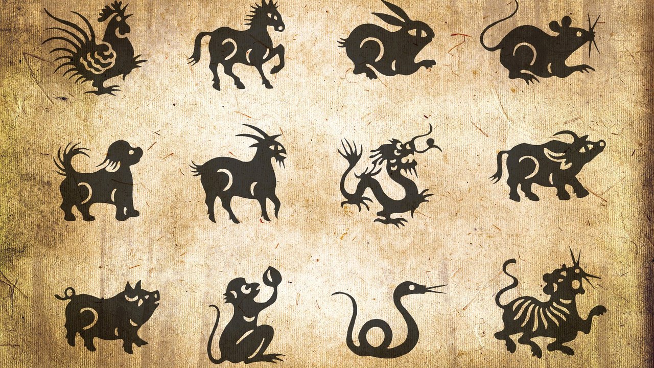 Dein chinesisches Horoskop: So wird das Jahr des Schweines für dich