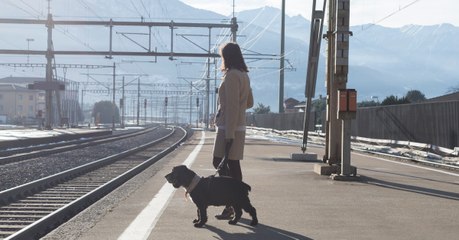 Am Bahnhof: Mit einer perversen Technik will sie sich ihres Hundes entledigen (Video)