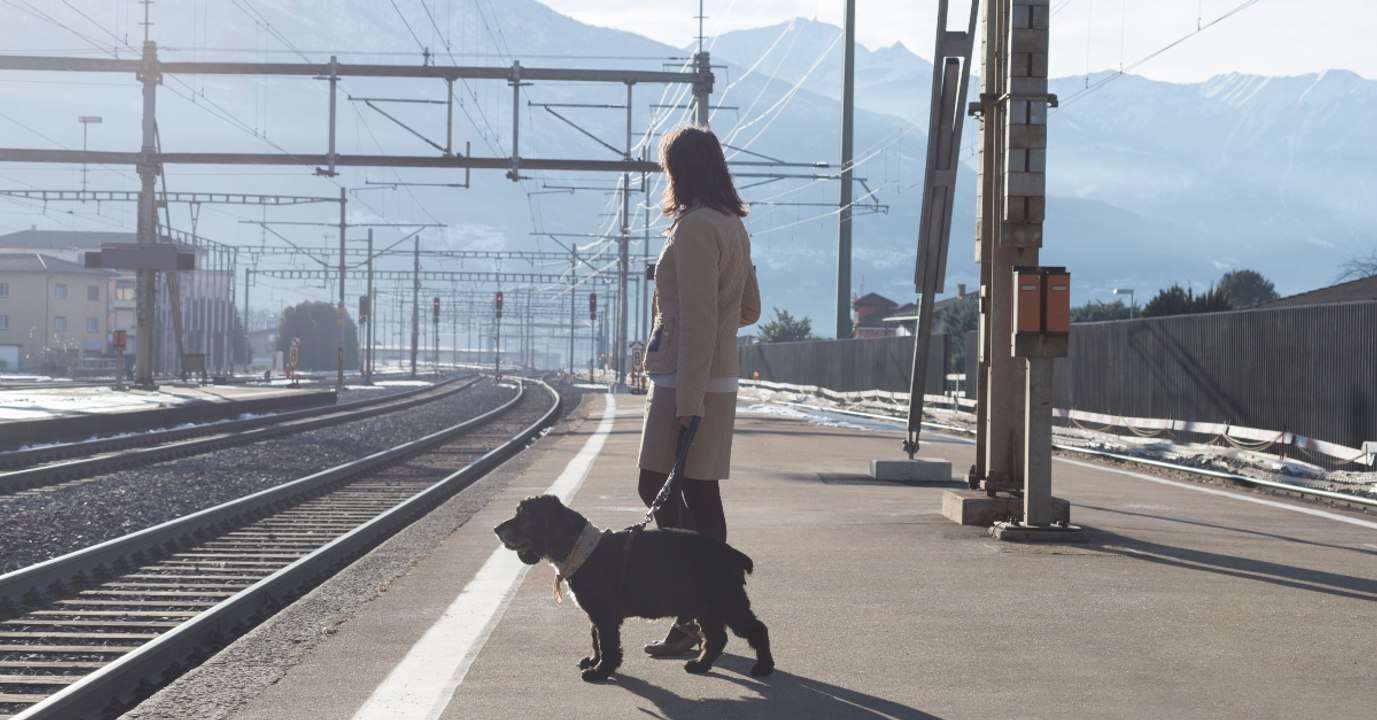 Am Bahnhof: Mit einer perversen Technik will sie sich ihres Hundes entledigen (Video)