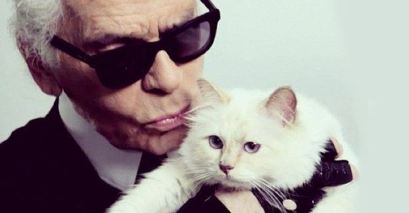 Nach Tod von Karl Lagerfeld: Schocknachricht um Katze Choupette