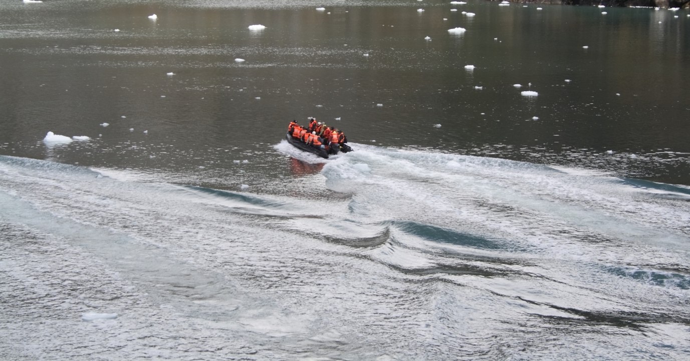 Kap Hoorn: Rätselhaftes Wesen gesichtet