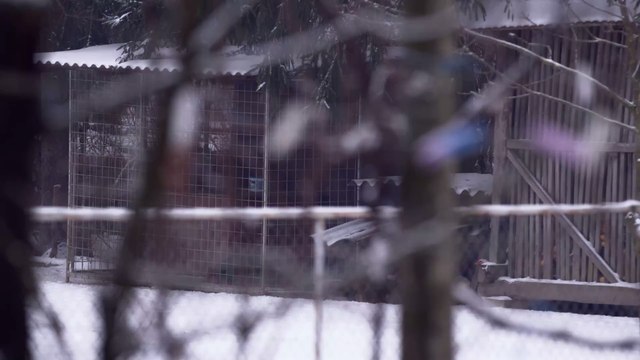 Besser als Weichspüler: Warum du deine Wäsche im Winter draußen aufhängen solltest