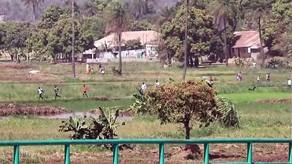 Presidente de Guiné-Bissau garante controle da situação após tentativa de golpe