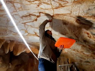Renaissance de la grotte Cosquer à Marseille