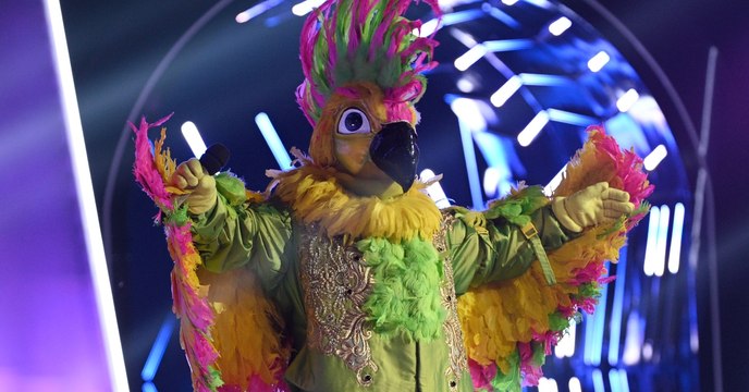 Ganz Deutschland rätselt: Welcher Promi steckt hinter dem Kakadu?