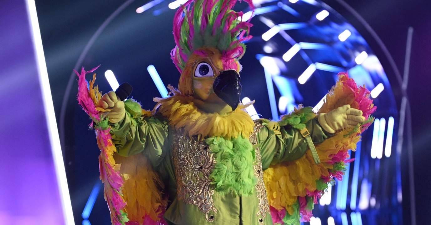 Ganz Deutschland rätselt: Welcher Promi steckt hinter dem Kakadu?