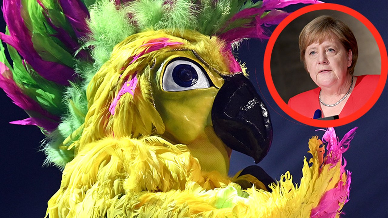 'The Masked Singer': Jury-Mitglied empört Publikum mit fiesem Merkel-Witz