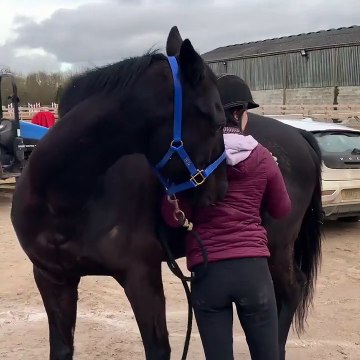 Scratch My Back (or Hip), And I’ll Scratch Yours