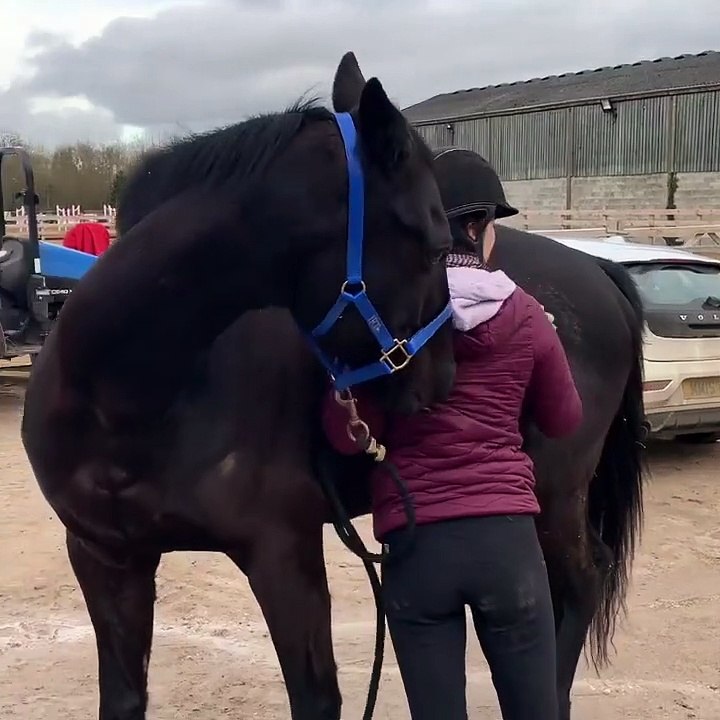 Scratch My Back (or Hip), And I’ll Scratch Yours